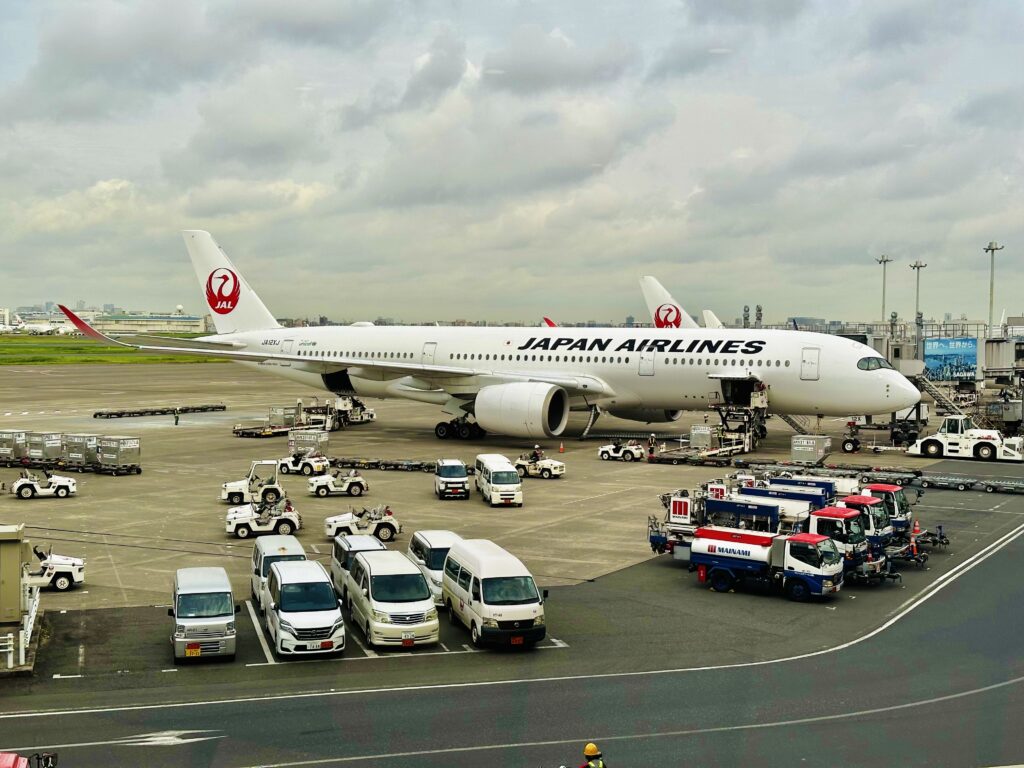 JAL飛行機画像